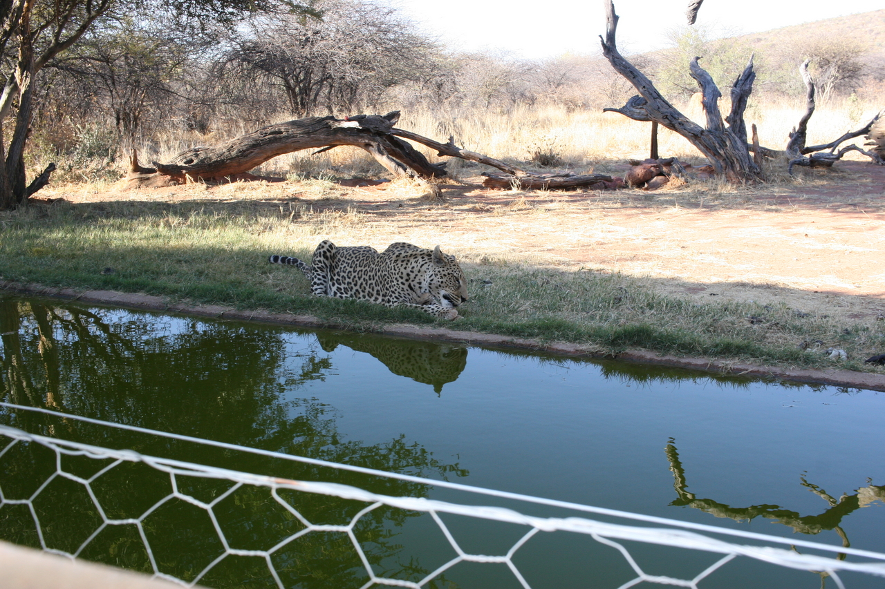 [6273] 2016_06_23_10_44_32_Africa_Canon_EOS_30D_IMG_1916_00360.jpg