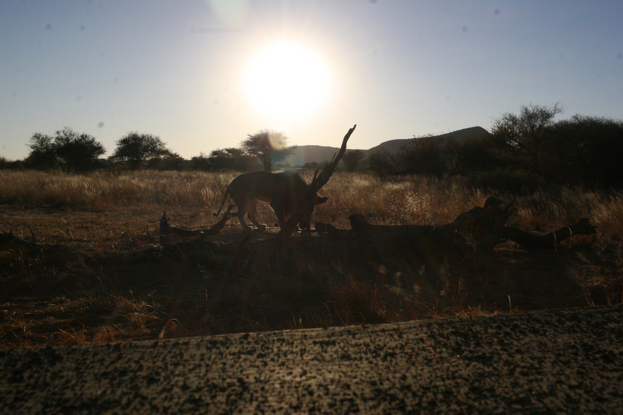 [8261] 2016_06_23_11_52_33_Africa_Canon_EOS_30D_IMG_1926_00370.jpg