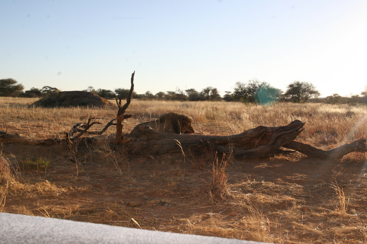 [8292] 2016_06_23_11_53_30_Africa_Canon_EOS_30D_IMG_1928_00372.jpg