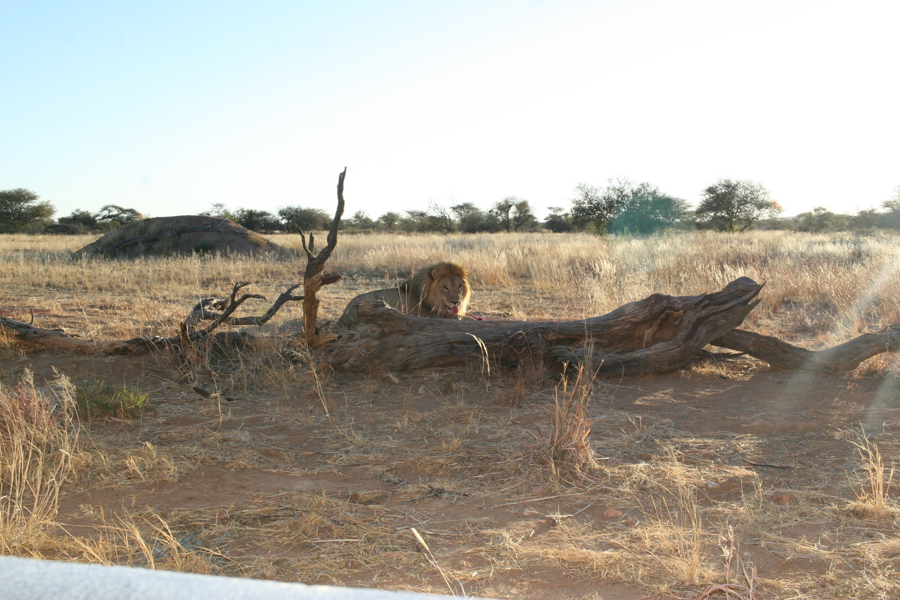[8769] 2016_06_23_12_00_29_Africa_Canon_EOS_30D_IMG_1954_00398.jpg