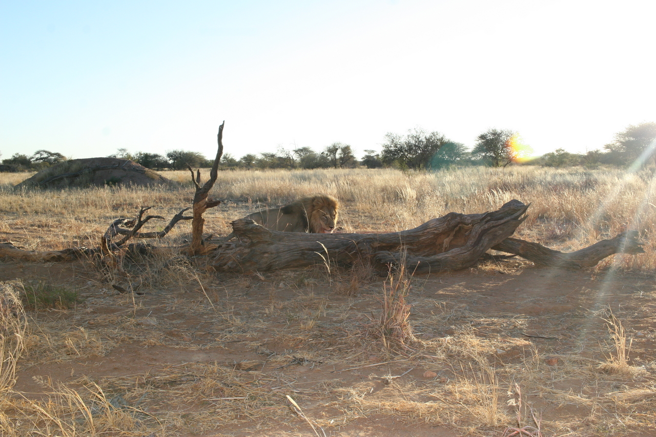 [8788] 2016_06_23_12_01_56_Africa_Canon_EOS_30D_IMG_1964_00229.jpg