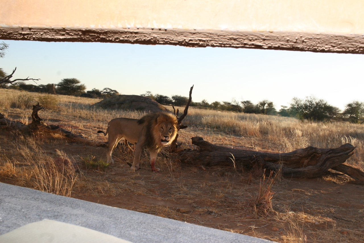 [8802] 2016_06_23_12_06_38_Africa_Canon_EOS_30D_IMG_1971_00236.jpg