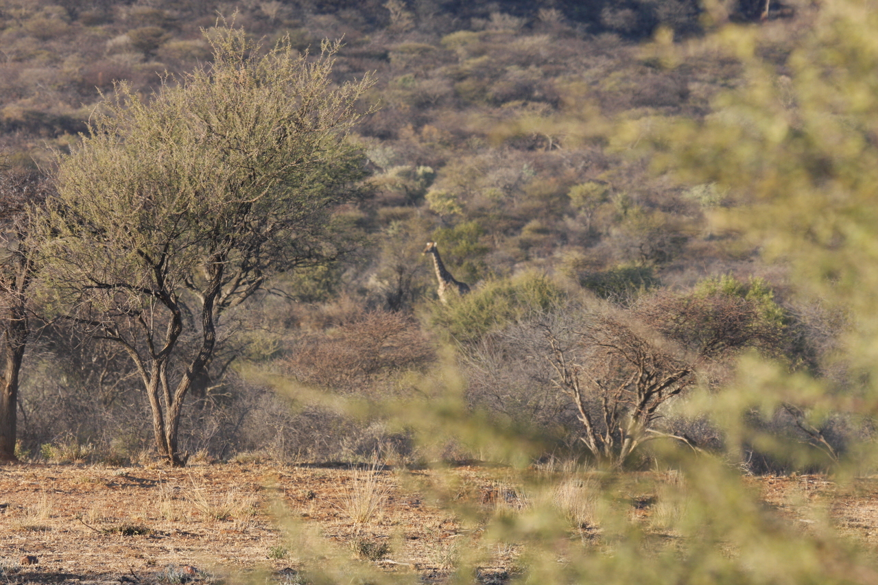 [515] 2016_06_22_02_09_11_Africa_Canon_EOS_40D_IMG__00021.jpg