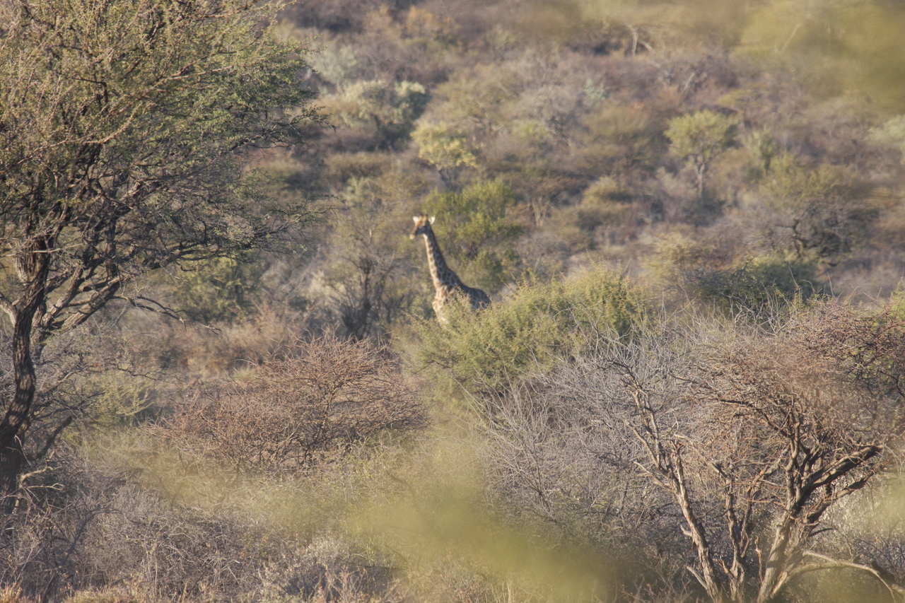 [520] 2016_06_22_02_09_18_Africa_Canon_EOS_40D_IMG__00004.jpg