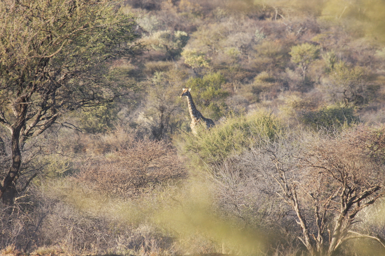 [523] 2016_06_22_02_09_19_Africa_Canon_EOS_40D_IMG__00005.jpg
