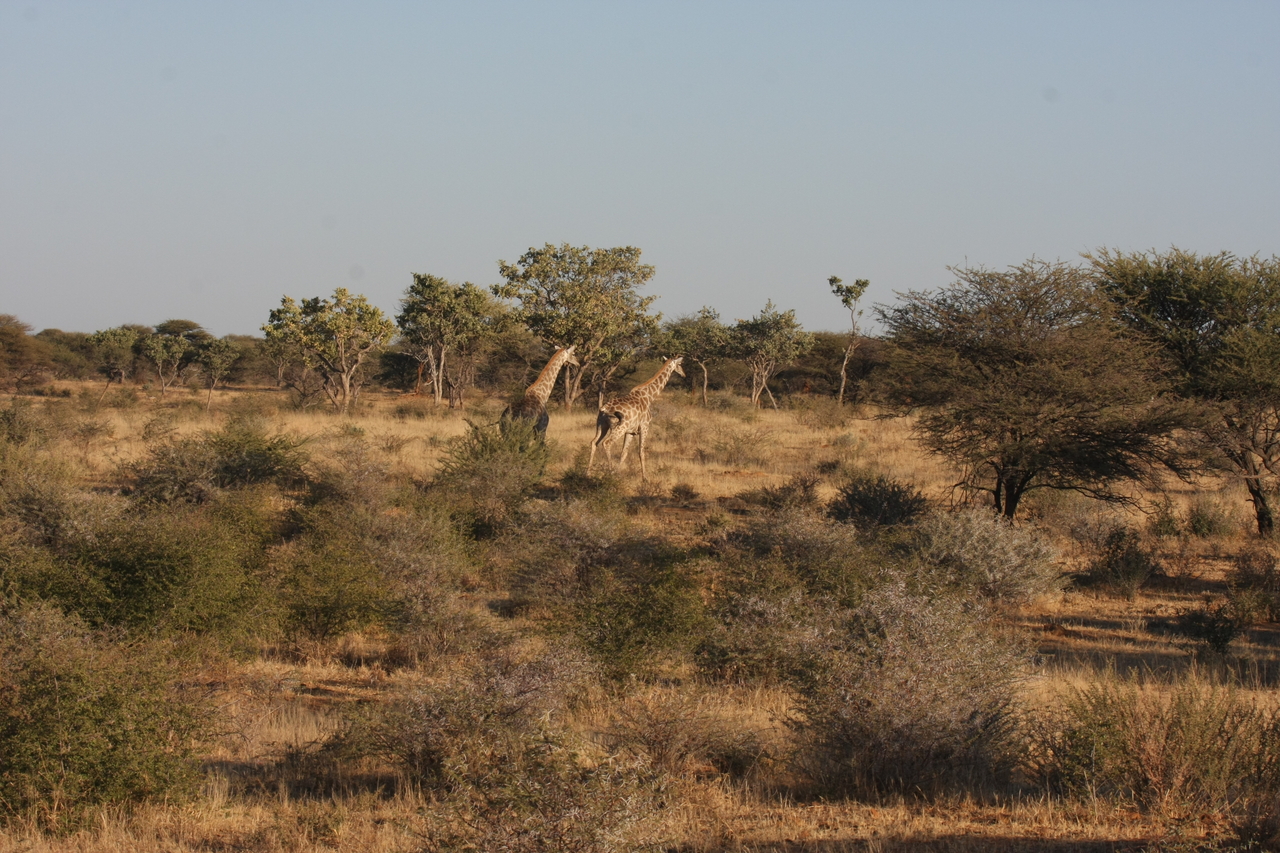 [601] 2016_06_22_02_16_27_Africa_Canon_EOS_40D_IMG__07495.jpg