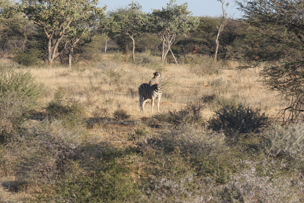 [620] 2016_06_22_02_16_50_Africa_Canon_EOS_40D_IMG__00036.jpg