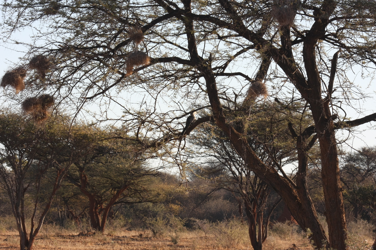 [639] 2016_06_22_02_23_06_Africa_Canon_EOS_40D_IMG__00059.jpg