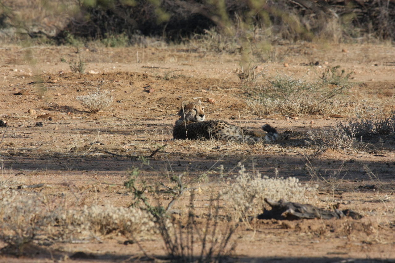 [733] 2016_06_22_02_43_16_Africa_Canon_EOS_40D_IMG__00067.jpg
