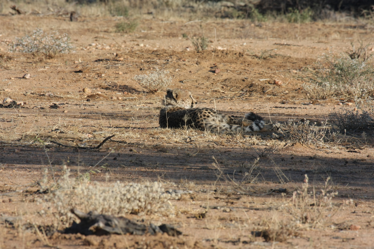 [757] 2016_06_22_02_43_46_Africa_Canon_EOS_40D_IMG__07539.jpg