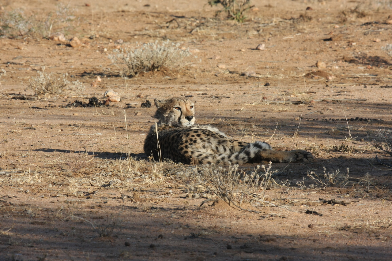 [761] 2016_06_22_02_44_45_Africa_Canon_EOS_40D_IMG__00075.jpg