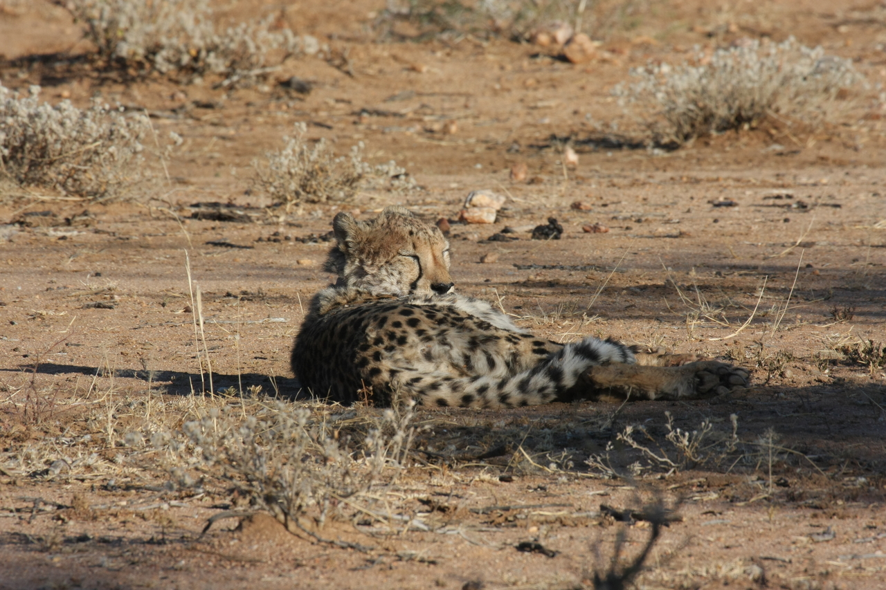 [774] 2016_06_22_02_45_05_Africa_Canon_EOS_40D_IMG__00080.jpg