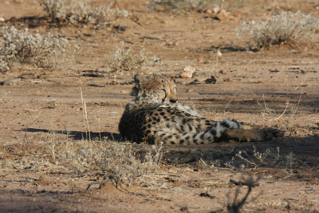 [781] 2016_06_22_02_45_06_Africa_Canon_EOS_40D_IMG__07547.jpg