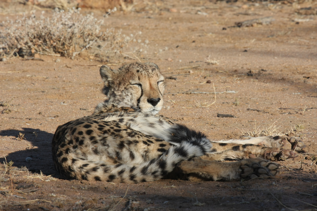 [783] 2016_06_22_02_45_54_Africa_Canon_EOS_40D_IMG__00083.jpg