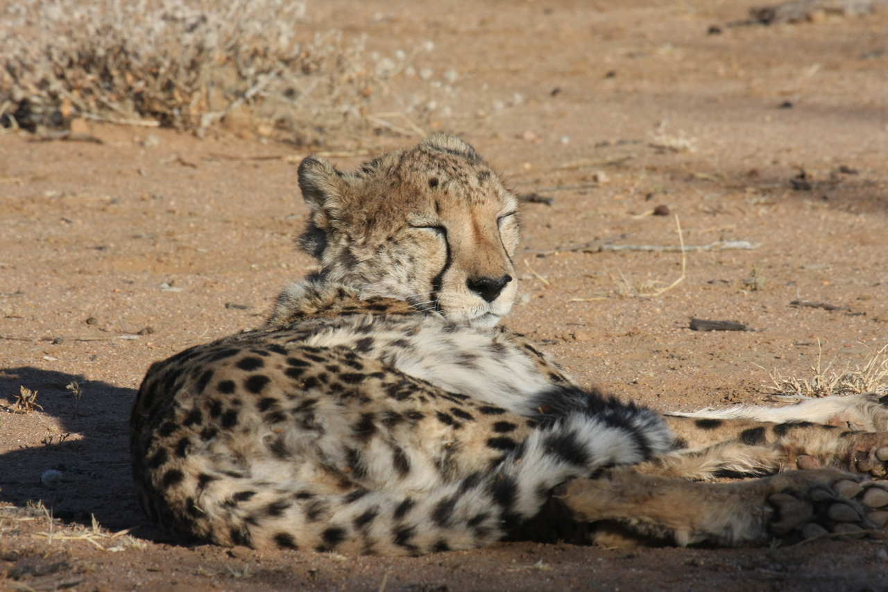[792] 2016_06_22_02_45_59_Africa_Canon_EOS_40D_IMG__00086.jpg