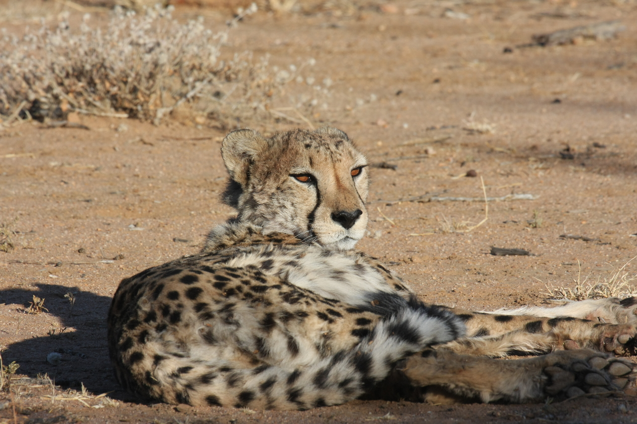 [808] 2016_06_22_02_46_05_Africa_Canon_EOS_40D_IMG__07556.jpg