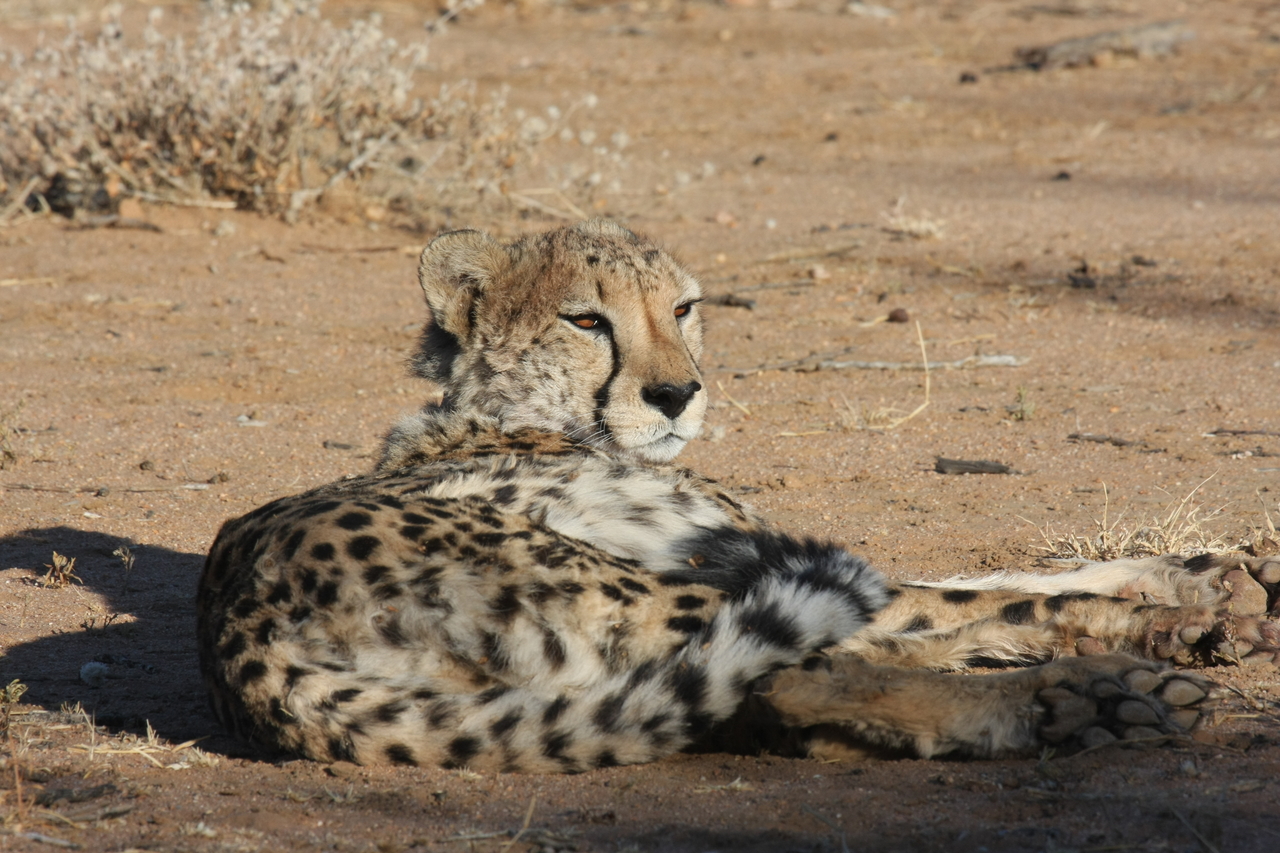 [812] 2016_06_22_02_46_09_Africa_Canon_EOS_40D_IMG__00092.jpg