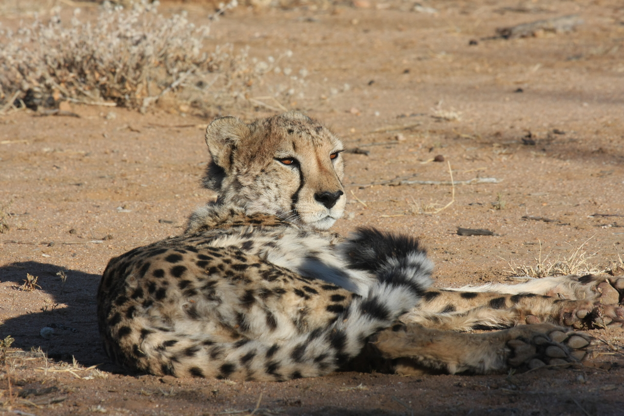 [815] 2016_06_22_02_46_09_Africa_Canon_EOS_40D_IMG__00112.jpg