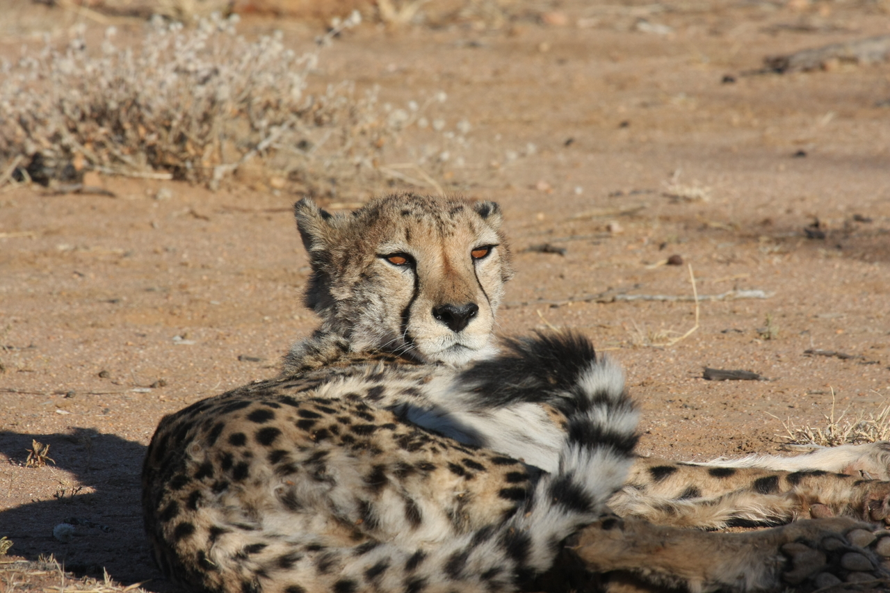 [827] 2016_06_22_02_46_14_Africa_Canon_EOS_40D_IMG__00097.jpg