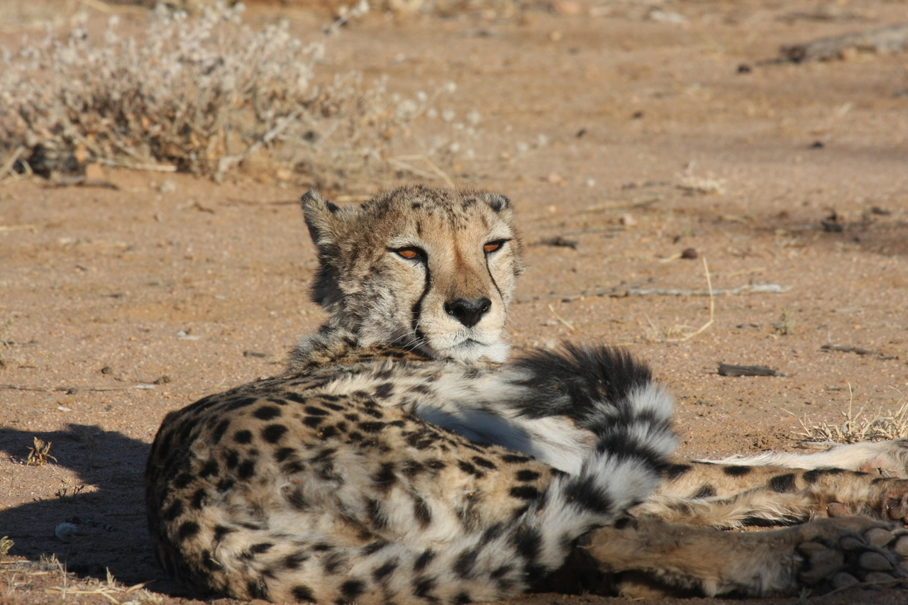 [832] 2016_06_22_02_46_14_Africa_Canon_EOS_40D_IMG__07564.jpg