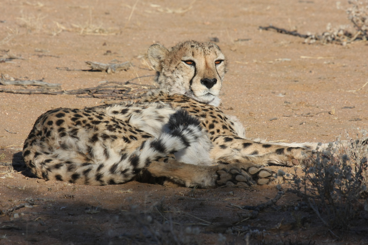 [844] 2016_06_22_02_46_46_Africa_Canon_EOS_40D_IMG__07568.jpg