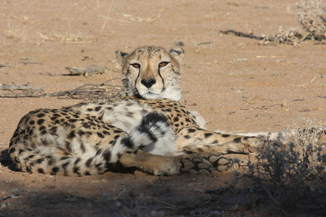 [845] 2016_06_22_02_46_52_Africa_Canon_EOS_40D_IMG__00103.jpg