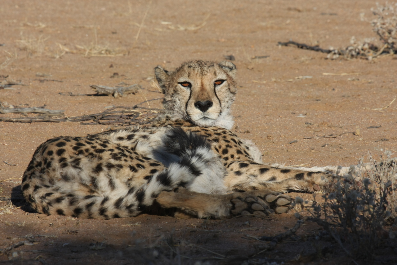 [862] 2016_06_22_02_47_02_Africa_Canon_EOS_40D_IMG__07574.jpg