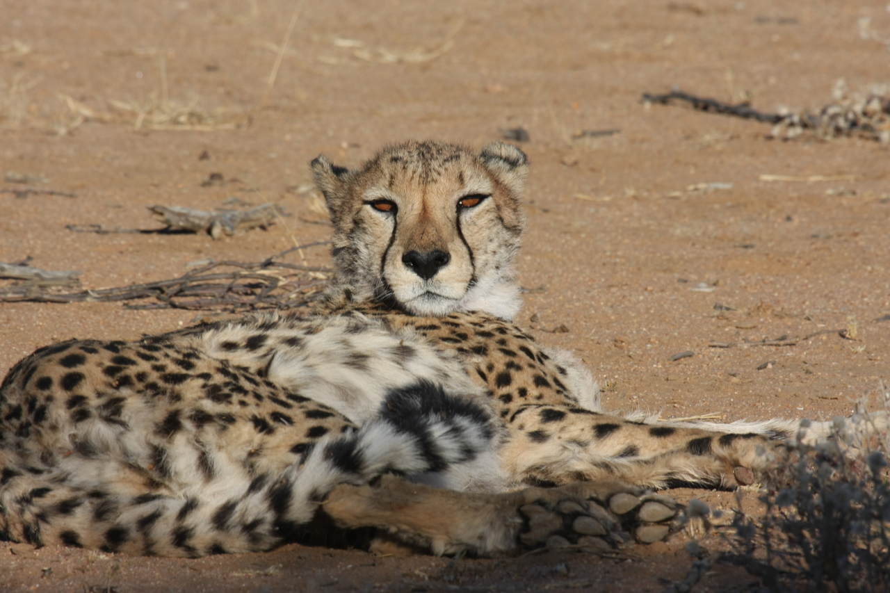 [874] 2016_06_22_02_47_07_Africa_Canon_EOS_40D_IMG__07578.jpg