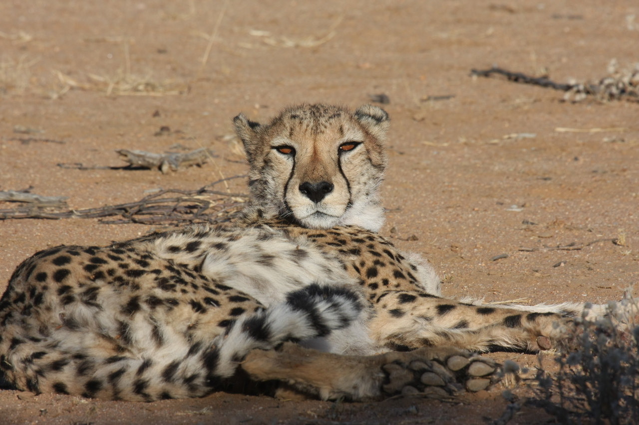 [877] 2016_06_22_02_47_08_Africa_Canon_EOS_40D_IMG__07579.jpg