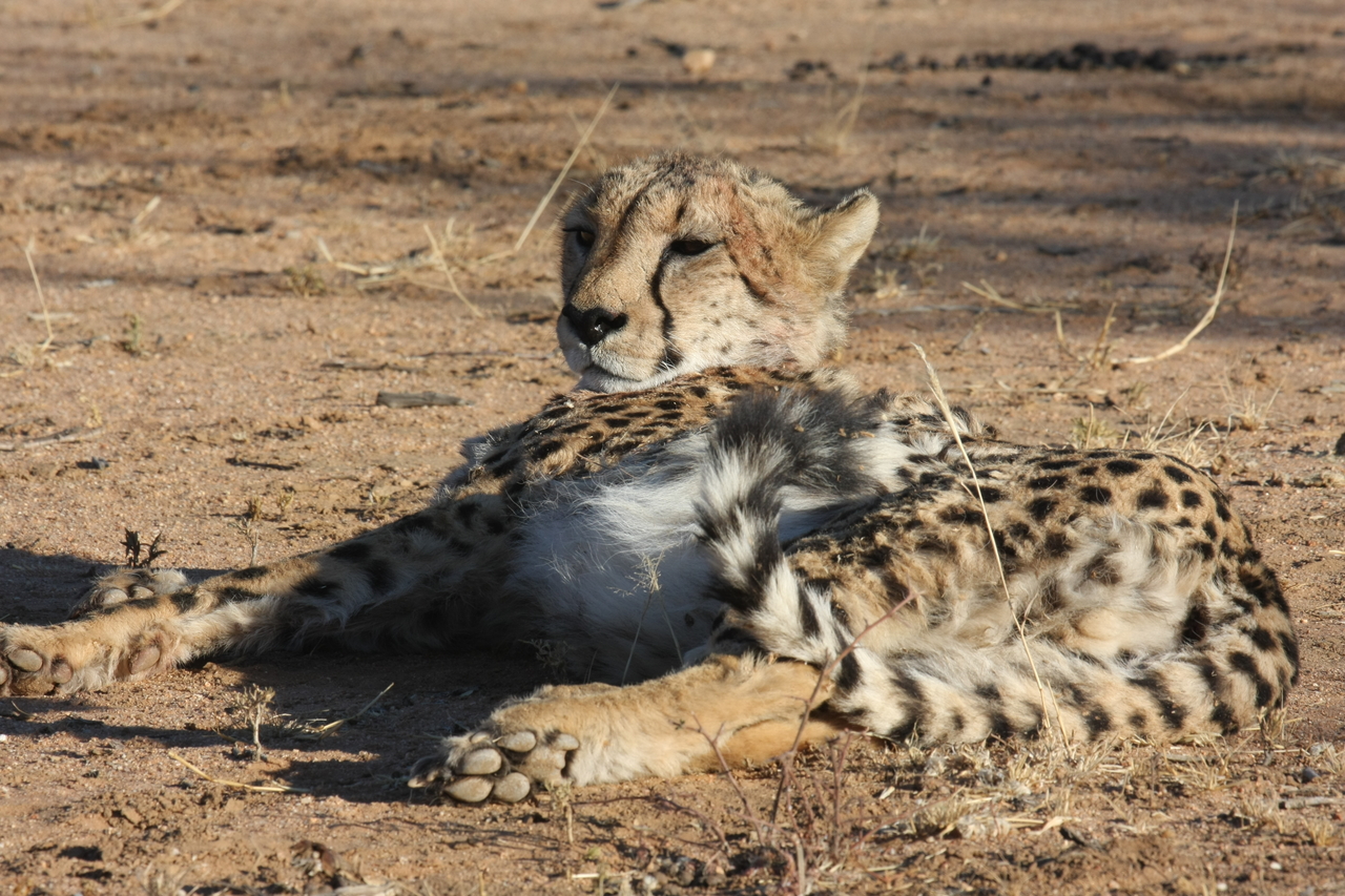 [933] 2016_06_22_02_48_53_Africa_Canon_EOS_40D_IMG__00147.jpg