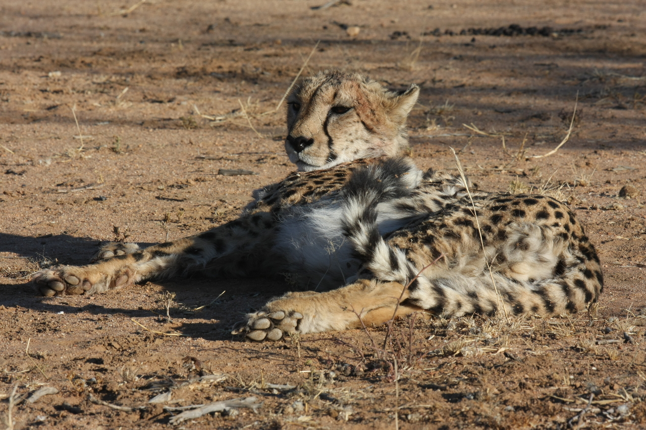[946] 2016_06_22_02_49_18_Africa_Canon_EOS_40D_IMG__07598.jpg