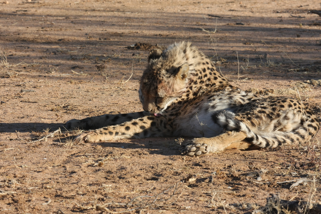 [951] 2016_06_22_02_49_40_Africa_Canon_EOS_40D_IMG__00153.jpg
