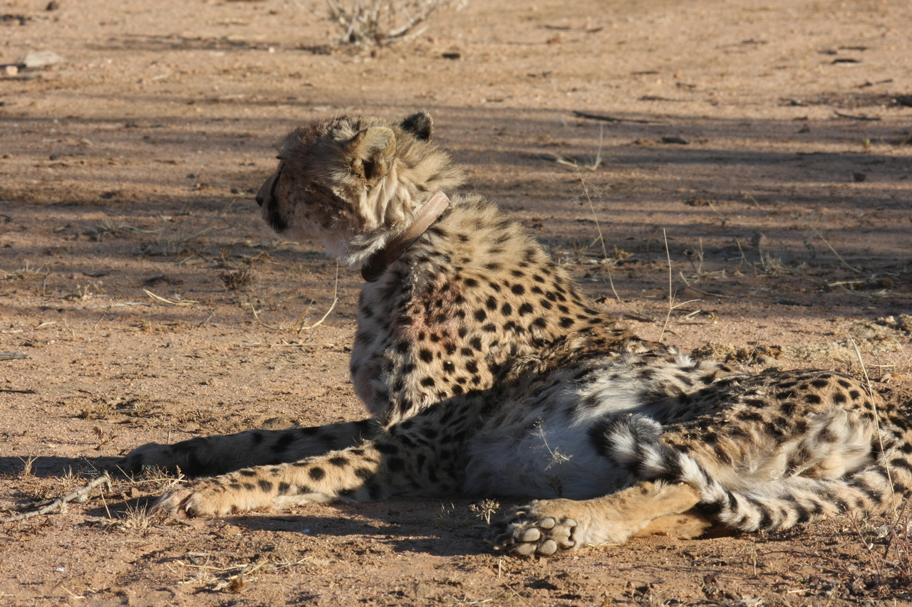 [958] 2016_06_22_02_49_55_Africa_Canon_EOS_40D_IMG__07602.jpg