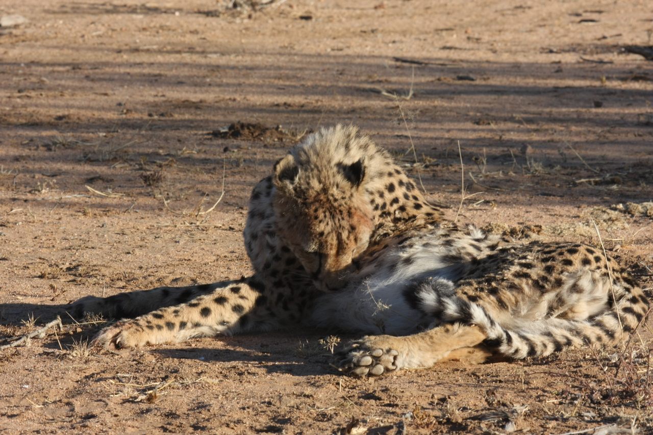 [975] 2016_06_22_02_50_02_Africa_Canon_EOS_40D_IMG__00143.jpg