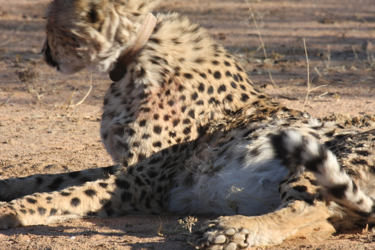 [980] 2016_06_22_02_50_11_Africa_Canon_EOS_40D_IMG__00144.jpg