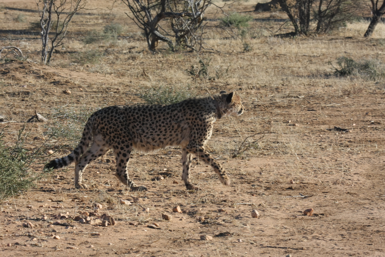 [1218] 2016_06_22_02_56_09_Africa_Canon_EOS_40D_IMG__07678.jpg