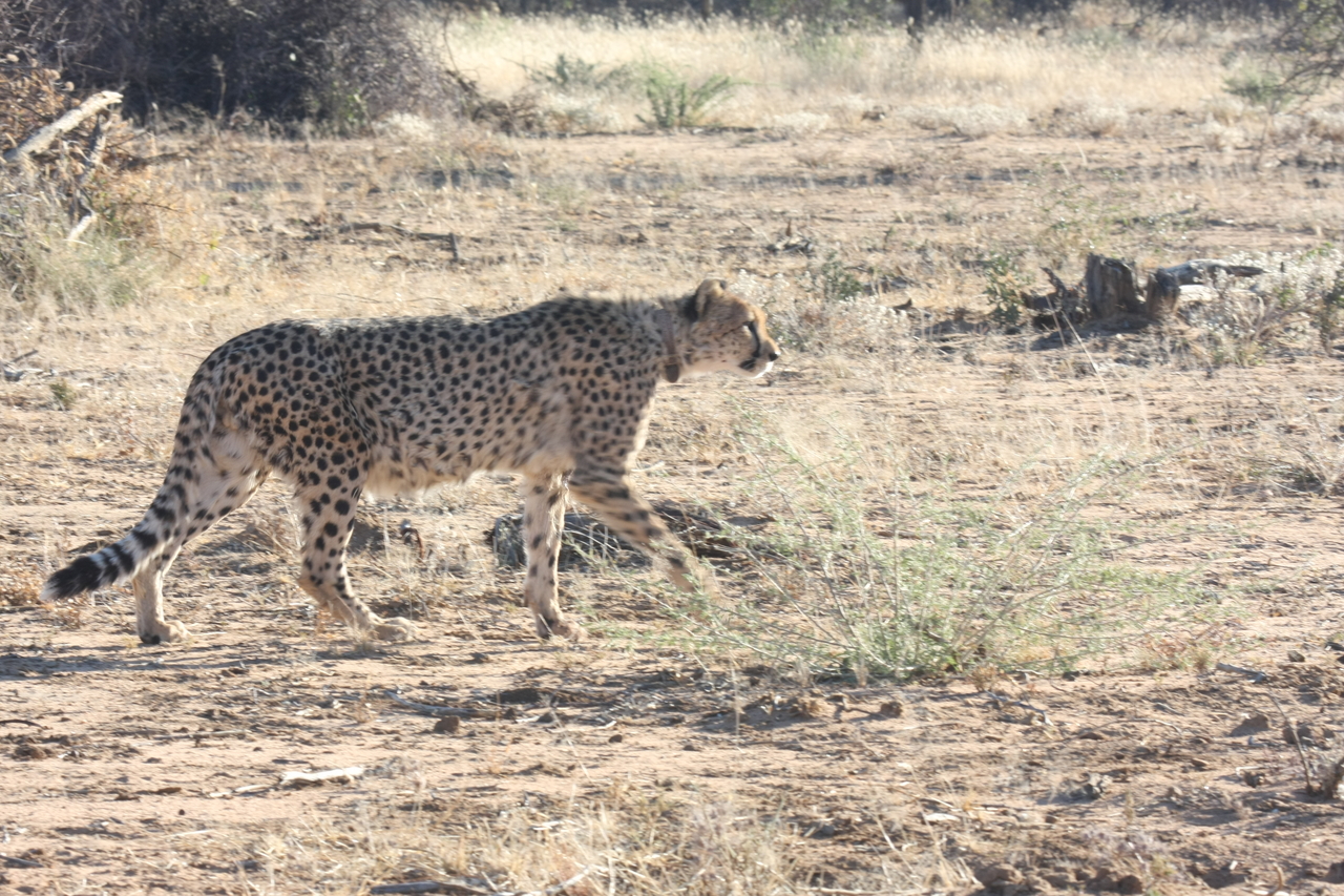 [1238] 2016_06_22_02_56_25_Africa_Canon_EOS_40D_IMG__00220.jpg