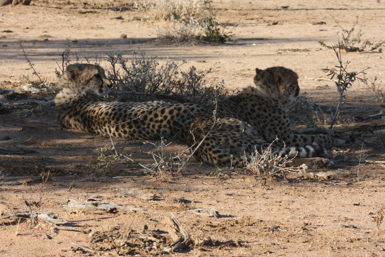 [1248] 2016_06_22_02_59_29_Africa_Canon_EOS_40D_IMG__00222.jpg
