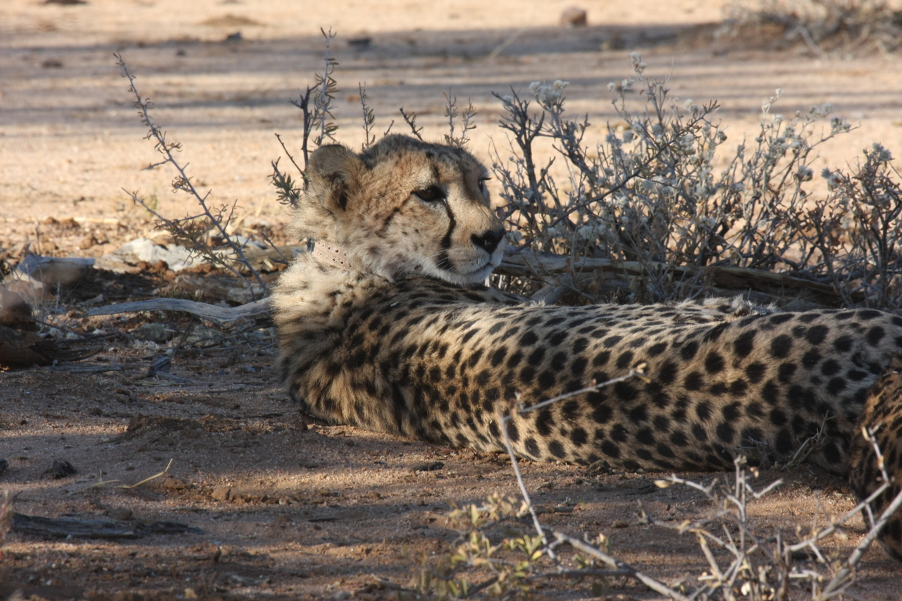 [1261] 2016_06_22_02_59_45_Africa_Canon_EOS_40D_IMG__00245.jpg