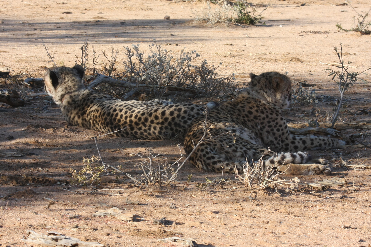 [1312] 2016_06_22_03_01_59_Africa_Canon_EOS_40D_IMG__07706.jpg
