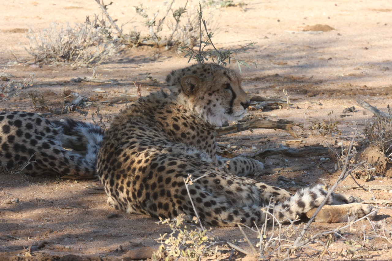 [1351] 2016_06_22_03_03_22_Africa_Canon_EOS_40D_IMG__07719.jpg