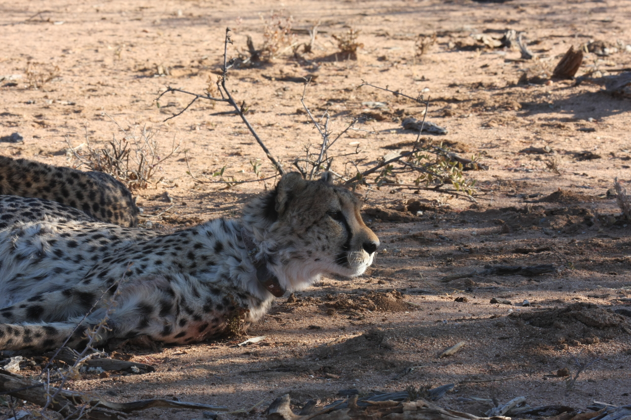 [1391] 2016_06_22_03_05_10_Africa_Canon_EOS_40D_IMG__00286.jpg