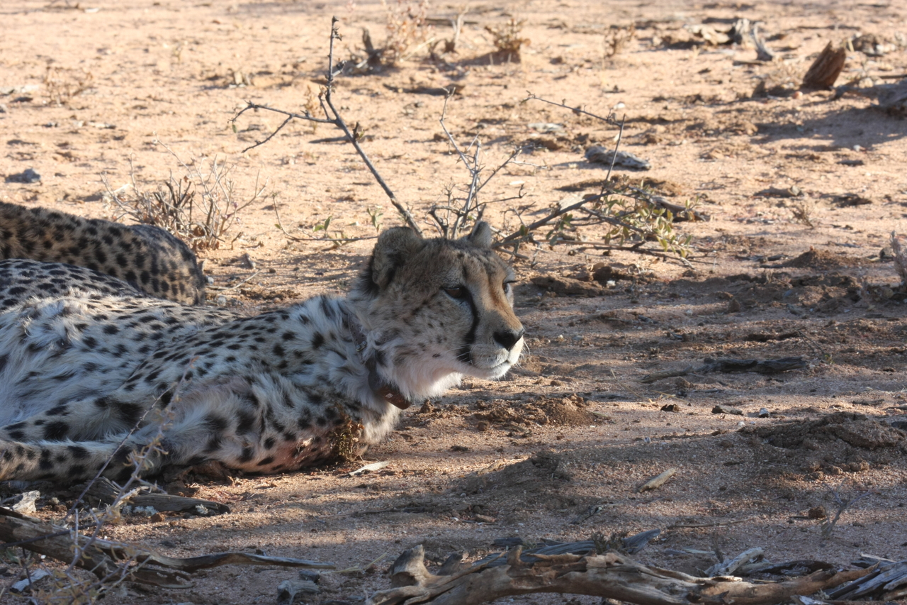 [1397] 2016_06_22_03_05_13_Africa_Canon_EOS_40D_IMG__00288.jpg