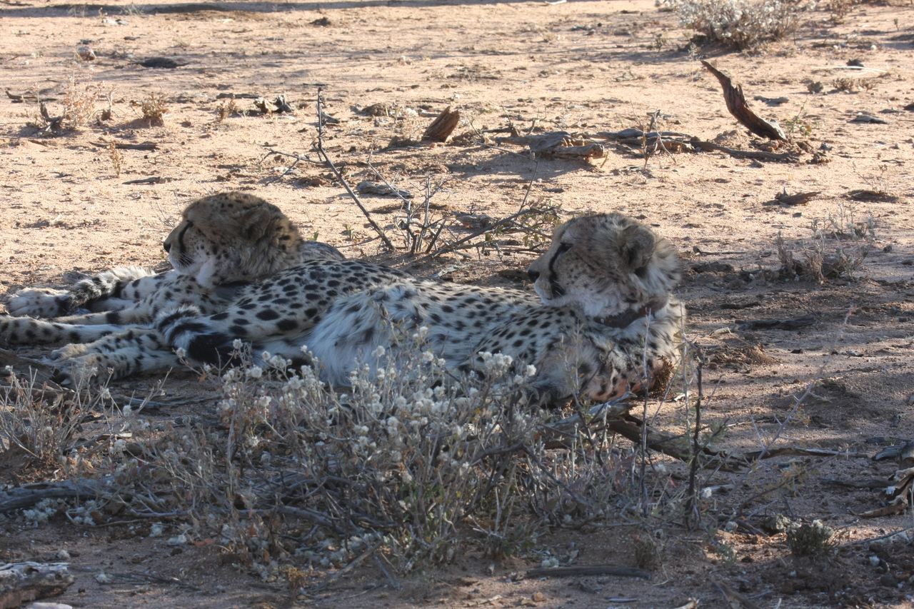 [1447] 2016_06_22_03_06_23_Africa_Canon_EOS_40D_IMG__07751.jpg