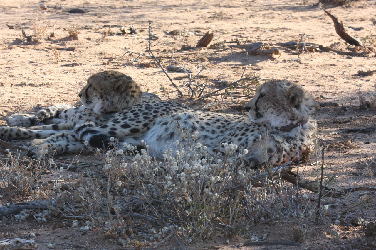 [1449] 2016_06_22_03_06_28_Africa_Canon_EOS_40D_IMG__00305.jpg