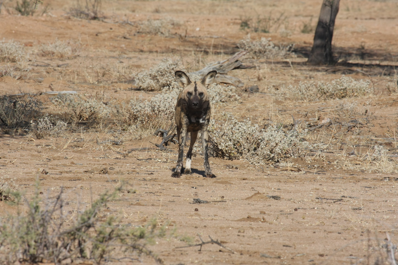 [1694] 2016_06_22_03_19_50_Africa_Canon_EOS_40D_IMG__00377.jpg