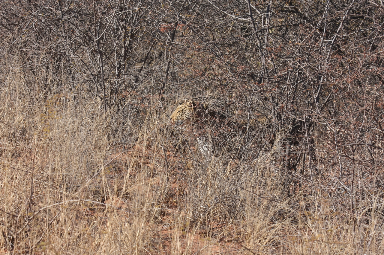 [1929] 2016_06_22_03_56_00_Africa_Canon_EOS_40D_IMG__00448.jpg
