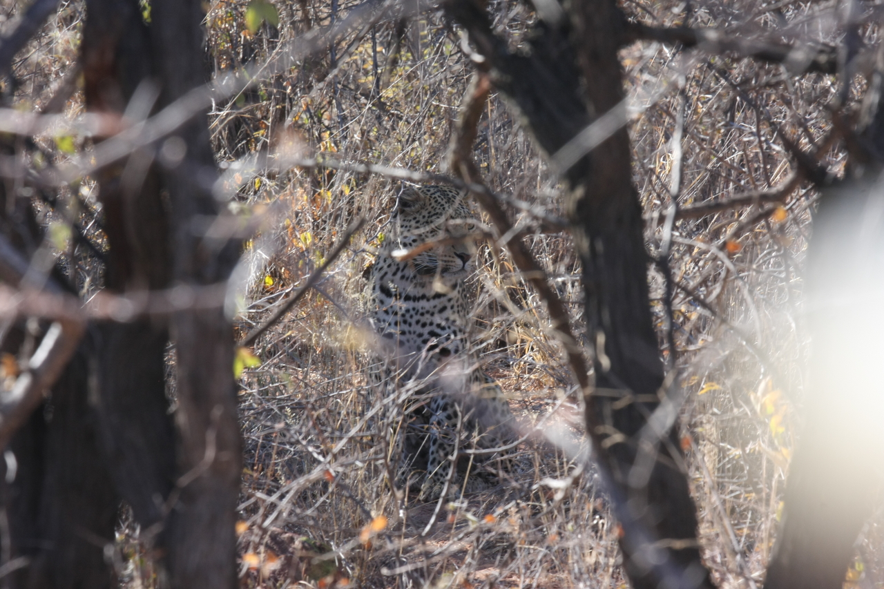 [2018] 2016_06_22_04_05_28_Africa_Canon_EOS_40D_IMG__07924.jpg