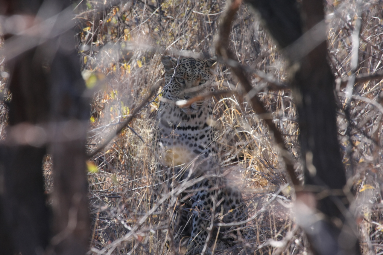 [2023] 2016_06_22_04_05_45_Africa_Canon_EOS_40D_IMG__00461.jpg