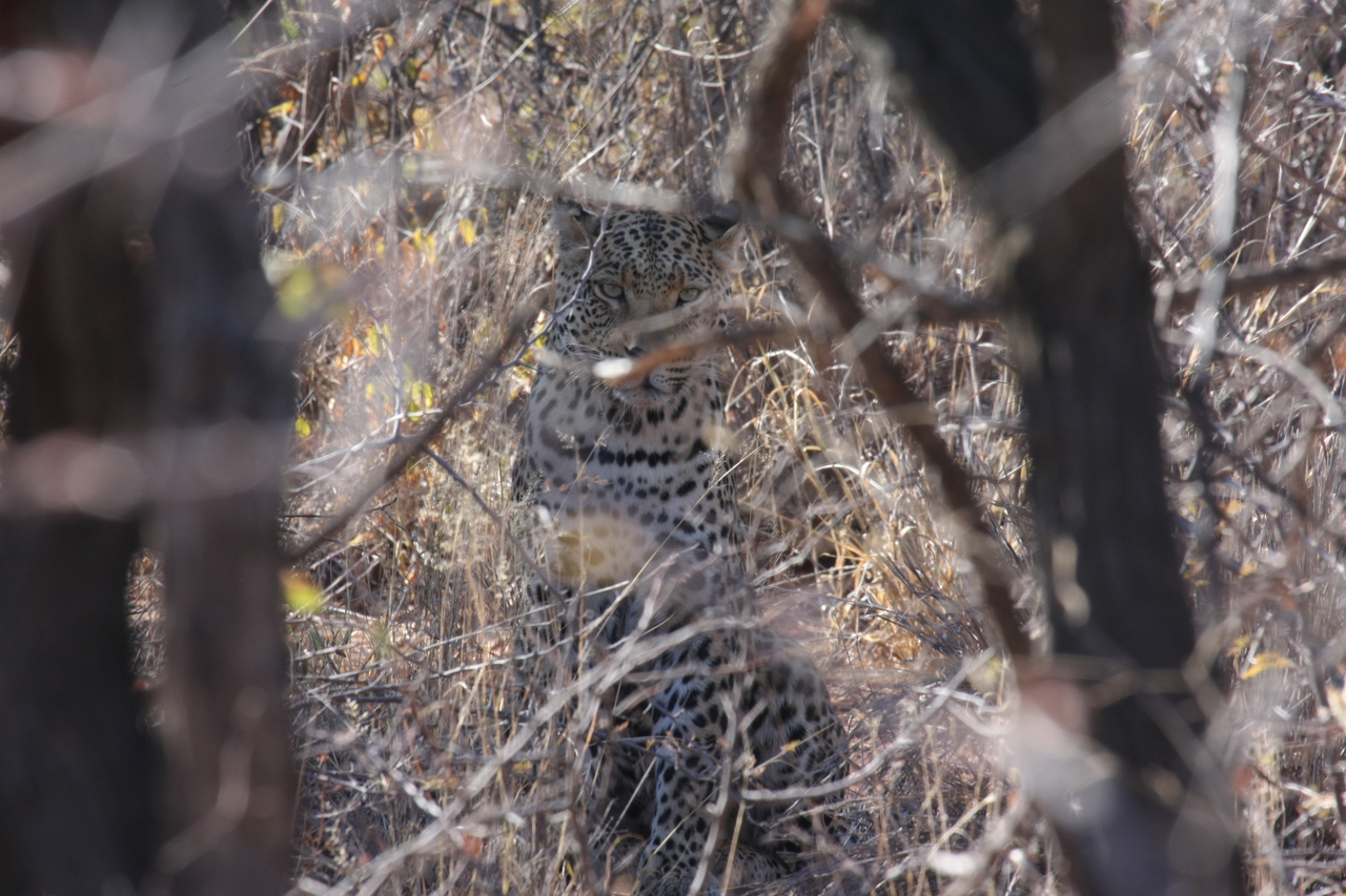 [2040] 2016_06_22_04_05_47_Africa_Canon_EOS_40D_IMG__00466.jpg